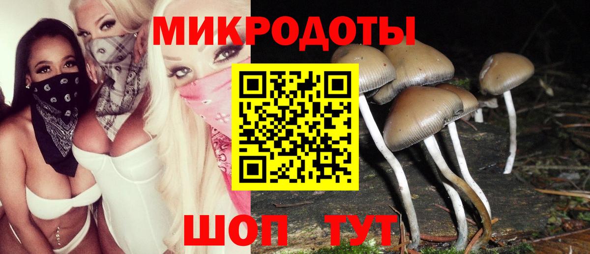Галлюциногенные грибы Psilocybe  Псилоцибиновые грибы MAGIC MUSHROOMS  хочу   Вход с VPN  Гай 