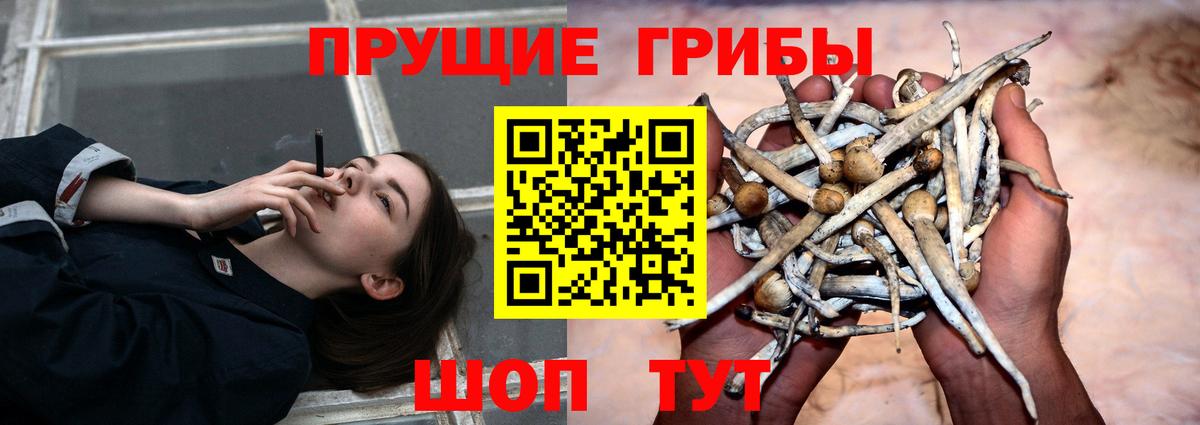 Псилоцибиновые грибы мухоморы Гай